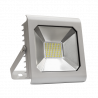 Naświetlacz LED NOCTIS LUX SMD 50W CW silver Spectrum