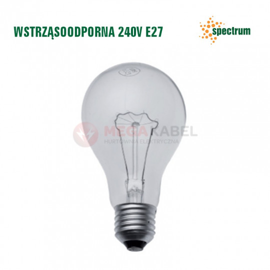 Shockproof bulb 100W E-27 230V WOJ80564 SPECTRUM
