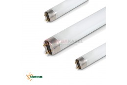 Spectrum 36W/865 6500K linear fluorescent lamp