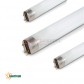 Linear fluorescent lamp 36W/865 6500K WOJ21509 SPECTRUM