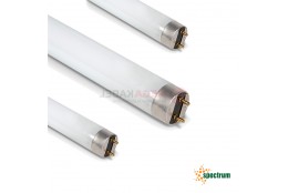 Linear fluorescent lamp 18W/840 4000K WOJ21114 SPECTRUM