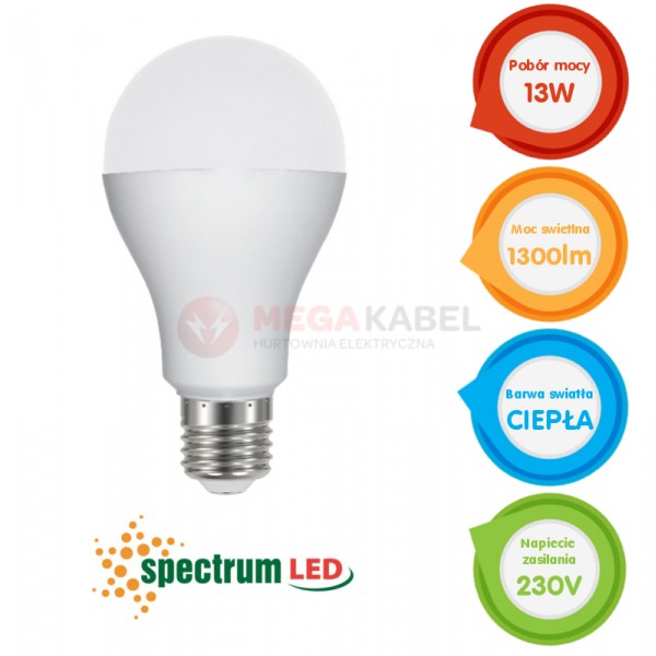 Żarówka LED E27 GLS ECO 13W 230V WW Spectrum
