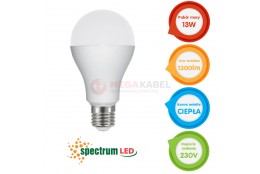 LED E27 GLS ECO 13W 230V WW Spectrum bulb