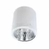 JUPITER 13 MD-4011 ceiling lamp white E27 307187 POLUX