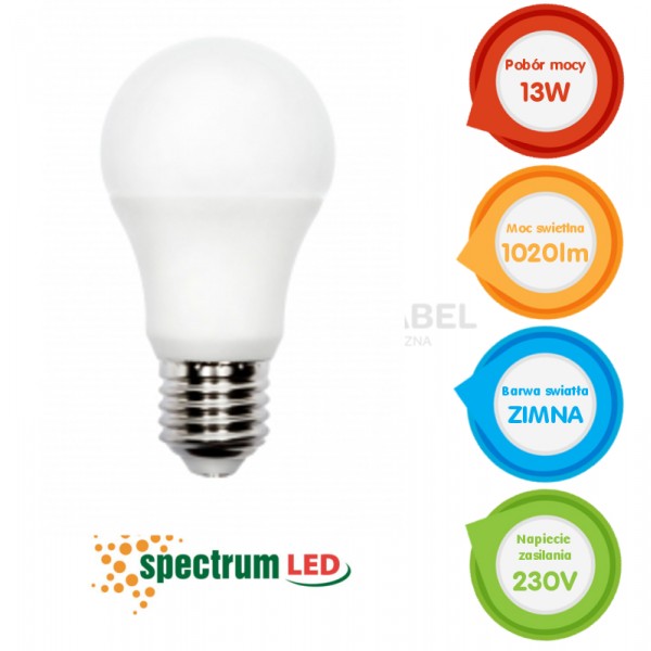 LED bulb E27 13W 230V b.cold GLS ECO Spectrum