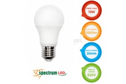 Żarówka LED E27 13W 230V b.zimna GLS ECO Spectrum