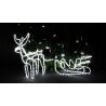 Reindeer + LED sled CW+FlashCW RS-M-3CWF