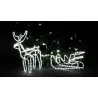 Reindeer + LED sled CW+FlashCW RS-M-3CWF