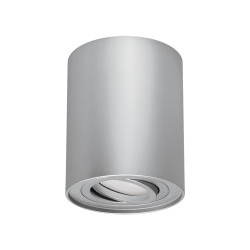 HARY C ceiling lamp silver...