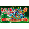 LED Christmas tree lights L-100/G multicolor indoor 4,95m OKEJ LUX