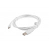 USB/micro USB 2.0 HS cable 1.8m CA-USBM-10CC-0018W LANBERG