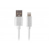 USB cable for iPhone 5 6 SE 7 8 PLUS X 1m Lanberg