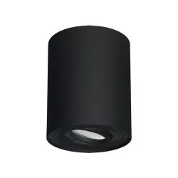 Lampa sufitowa HARY C...