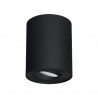 HARY C ceiling lamp black 03713 GU10 Struhm