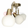 Plafond wall lamp DAVID-3 AB old gold Vitalux