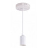 Lampa Oprawa wisząca UNO CLG White E27 03810 Struhm