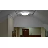 DIANA LED 24W 4000K plafond lamp 03238 Struhm