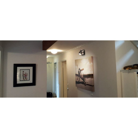 KINGA 1D GU10 1x4W Struhm wall and ceiling lamp