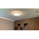 MINERAL LED C 48W plafond lamp + remote control 03726 Struhm