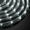 Light hose flowing transparent CW outdoor 8-functions 10m OKEJ LUX