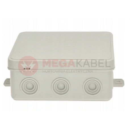 Ash flush box 100x100x41 IP54 037-03 Viplast