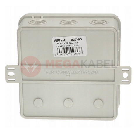 Ash flush box 100x100x41 IP54 037-03 Viplast