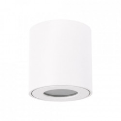 Lampa plafon sufitowy ZORBA DWL white 03954 GU10 STRUHM