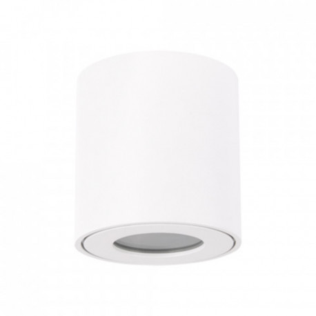 Lampa plafon sufitowy ZORBA DWL white 03954 GU10 STRUHM