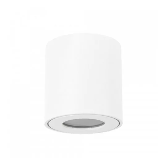 Lampa plafon sufitowy ZORBA DWL white 03954 GU10 STRUHM