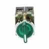 Przełącznik podśw. LED zielony 3A/450V BK5365Z