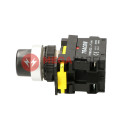 Keyed 2-state 1NO 1NC 5A switch NYK3-K21TRACON