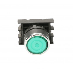 Stable pushbutton covered 1Z green T0-B100FY EMAS