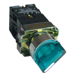 LED backlit green two-position switch NYGBK2365Z TRACON
