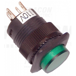 Pushbutton with indicator...