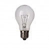 Signal bulb E-27 75W A55 230V SPECTRUM