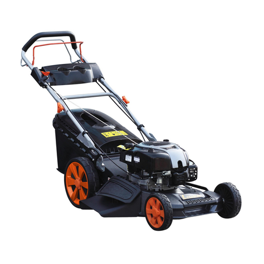 SH53BS750N4W1 B&amp;S 161cc Faworyt petrol lawnmower with drive