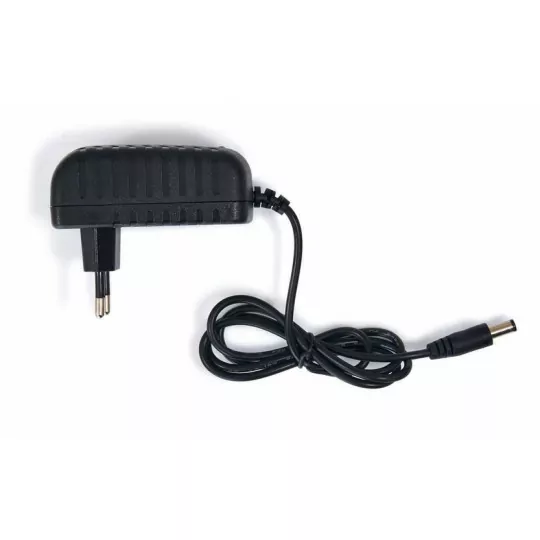 Zasilacz wtyczkowy 24W 12V 2A MWPOWER
