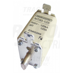 Fuse-link gG 160A NT00-160...