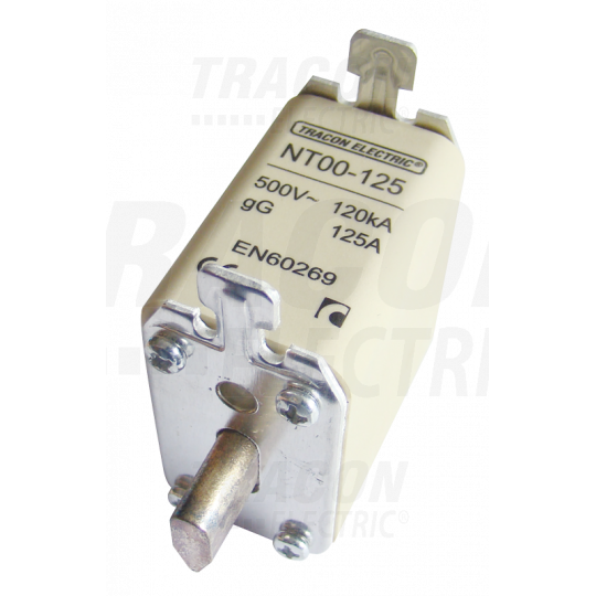 Fuse-link gG 160A NT00-160 TRACON fuse link