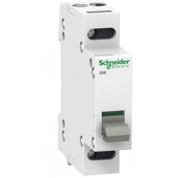 Schneider 20A 2P iSW...