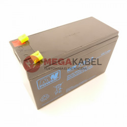 Akumulator AGM LMRA 12V...