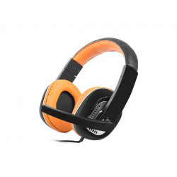 Headphones with microphone...