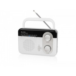 AM/FM RA1 Blow analog...