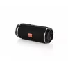 BT460 bluetootch speaker black 2x10W Blow