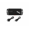 BT460 bluetootch speaker black 2x10W Blow