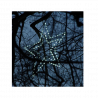 Outdoor decorative star transparent WS-6/F/G/LED/FE cold OKEJ LUX