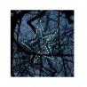 Outdoor decorative star transparent WS-6/F/G/LED/FE cold OKEJ LUX