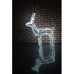 Reindeer tall REN110-2 CW...