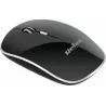 Wireless sensor WiFi USB mouse RABEL