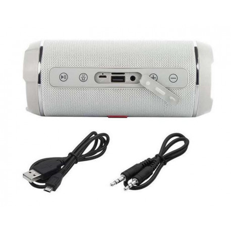 Głośnik bluetootch BT460 szary 2x10W Blow